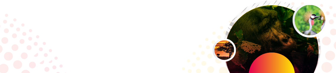 Bg-img